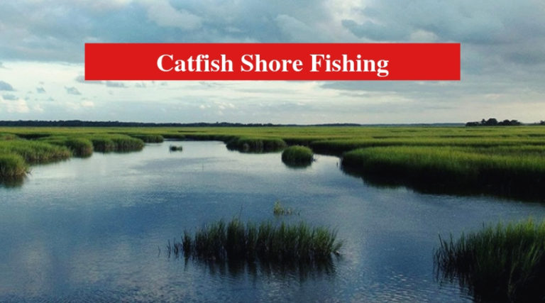 Catfish Shore Fishing: Useful Tips To Catch Catfish On Shore